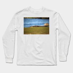 Very Large Alligator Long Sleeve T-Shirt